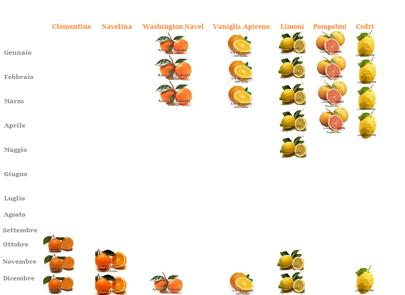 Calendario Agrumi Siciliani - lavori arance di sicilia